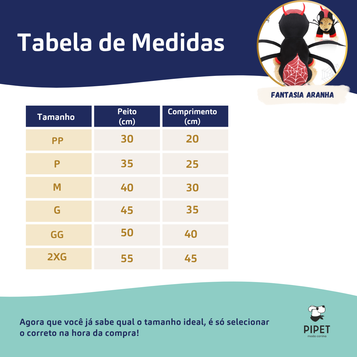 Fantasia Aranha Halloween