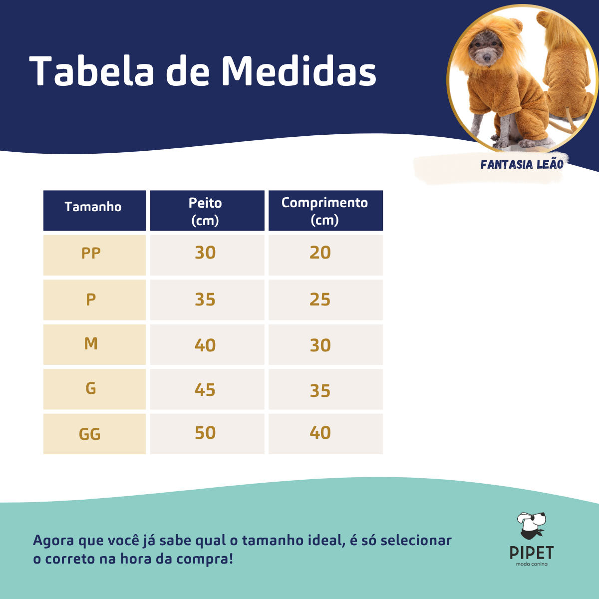 Fantasia Pet de Leão