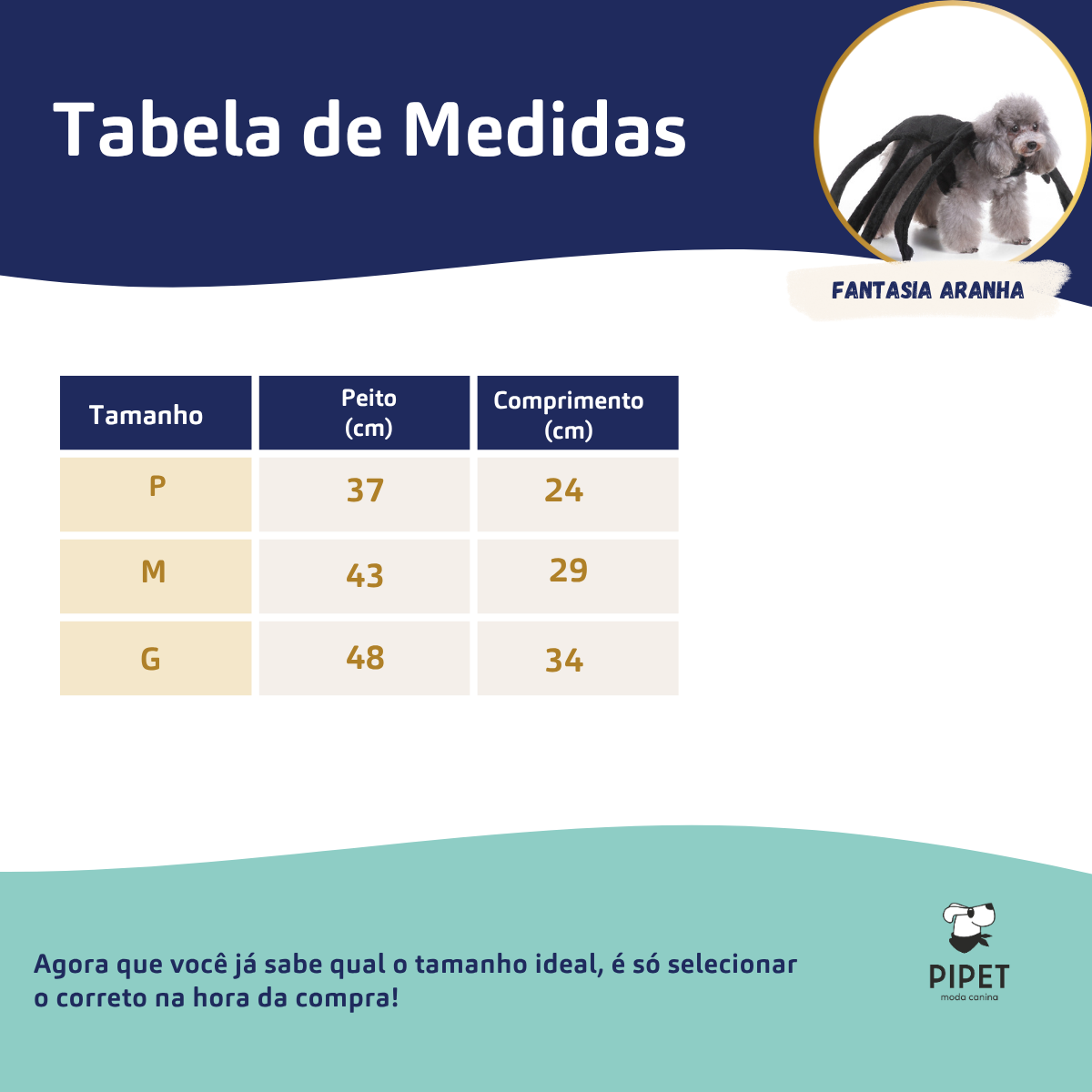 Fantasia Pet de Aranha