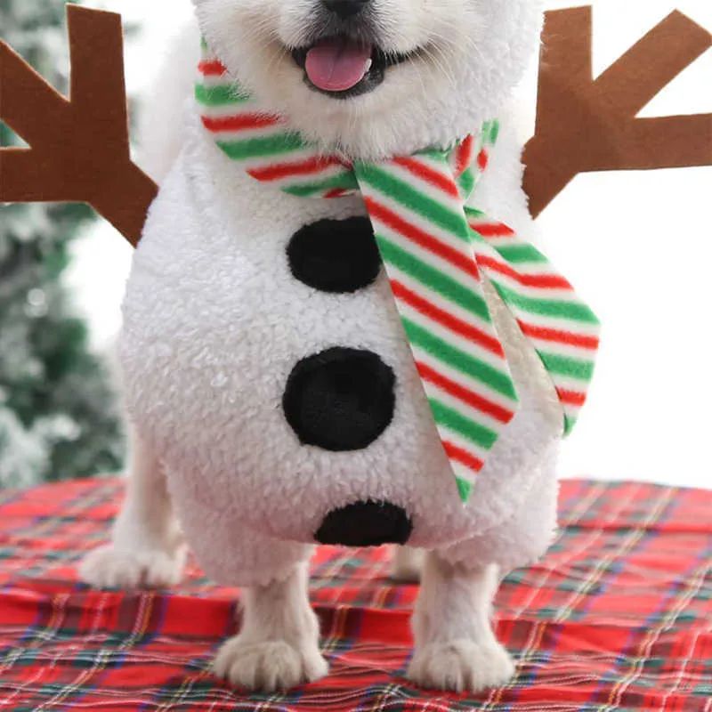 Fantasia Natal Boneco de Neve