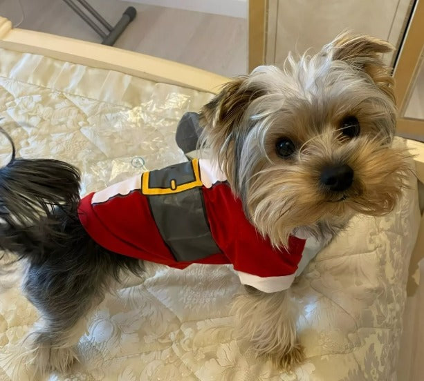 Roupa Noel