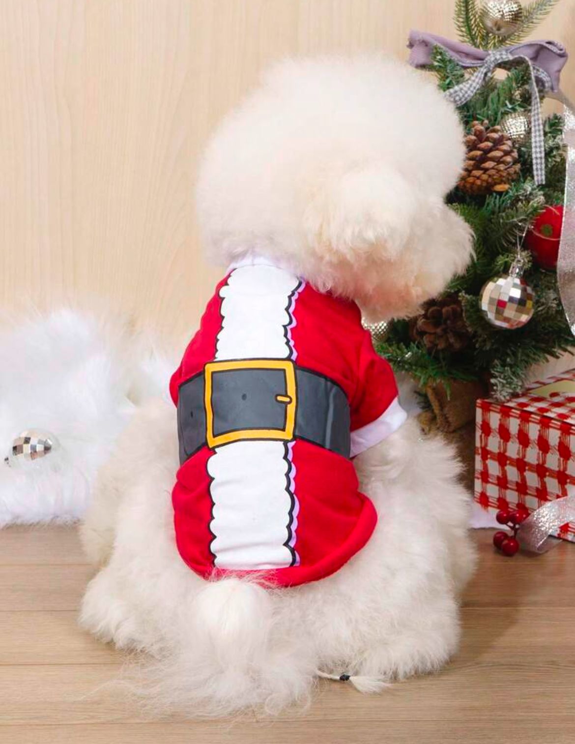 Roupa Noel