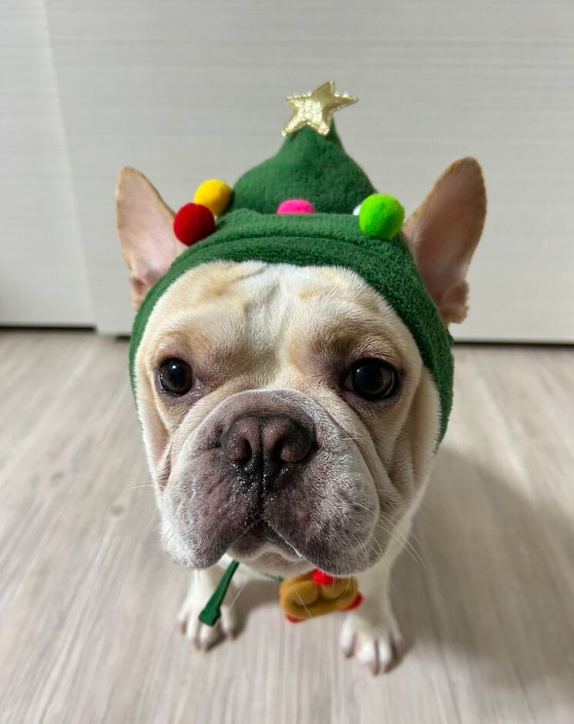 Gorro Especial de Natal