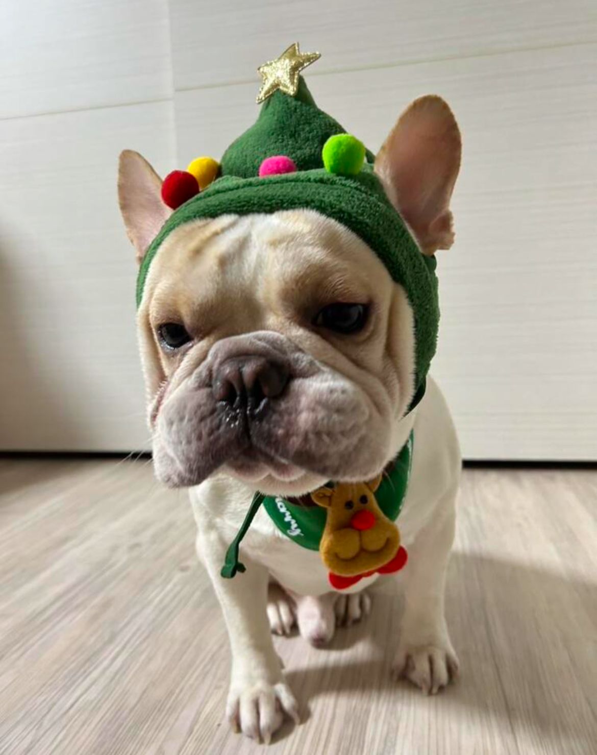 Gorro Especial de Natal
