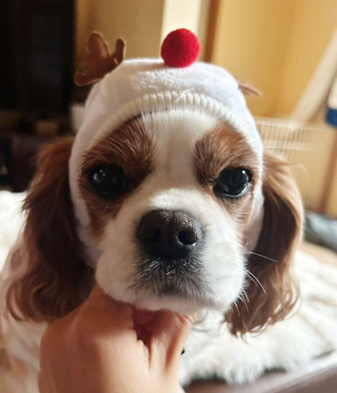 Gorro Natal Branco