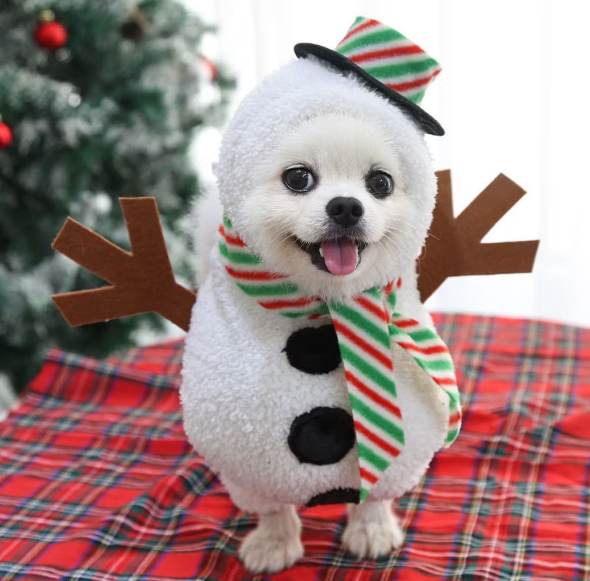 Fantasia Natal Boneco de Neve