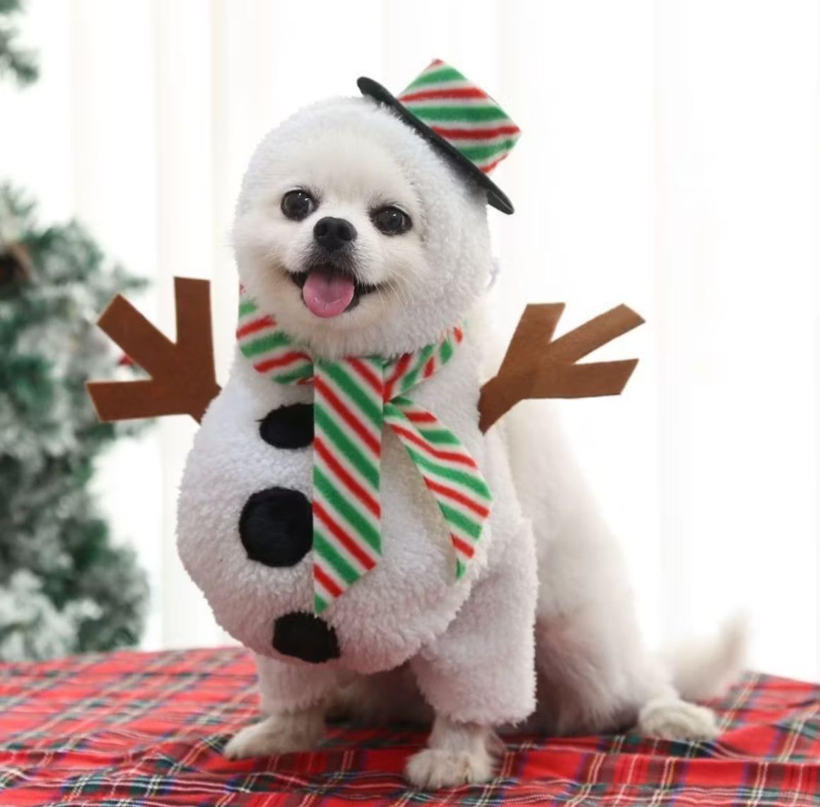 Fantasia Natal Boneco de Neve