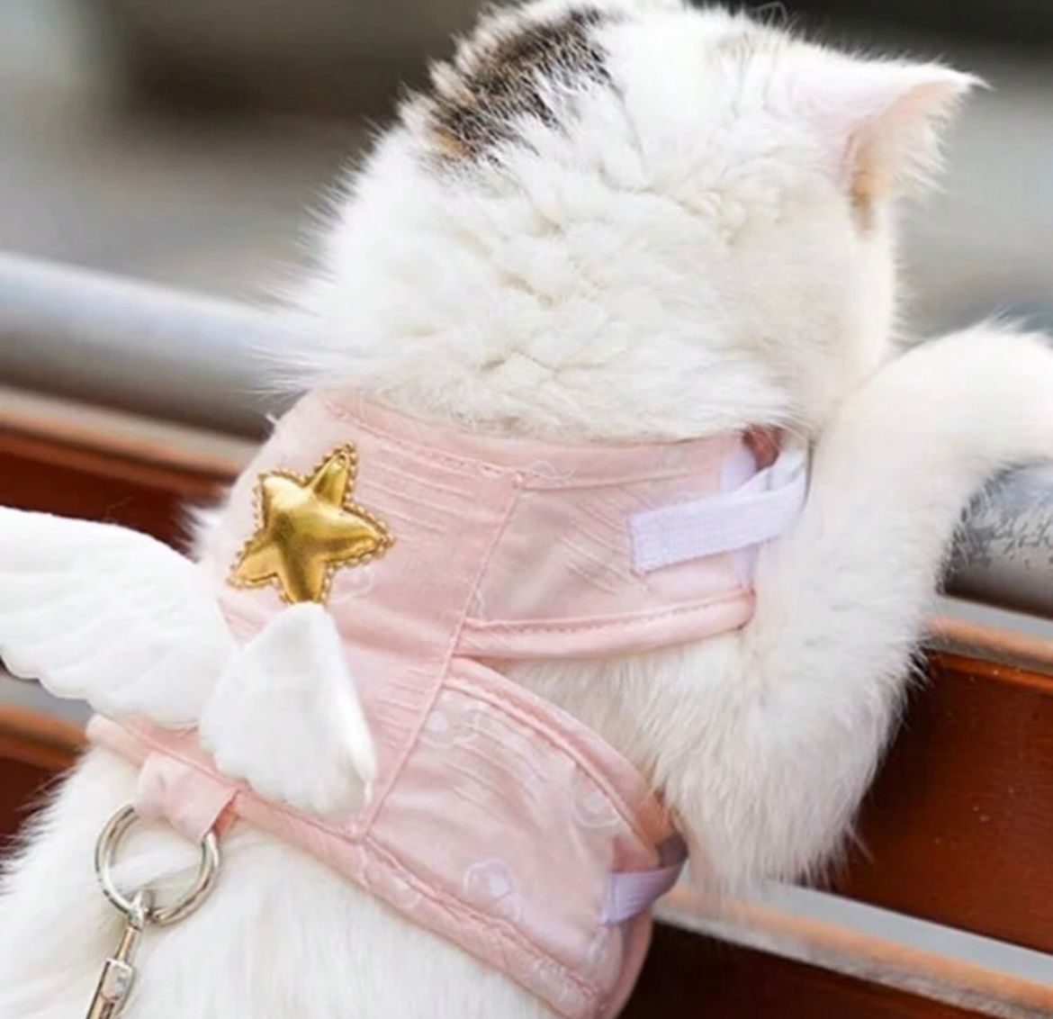 Peitoral Anjinho Azul