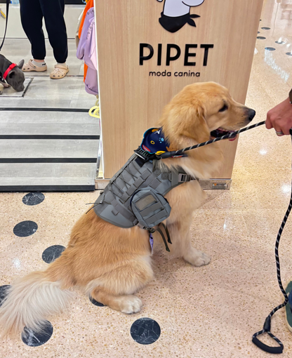 Peitoral Pet Grande - Cinza