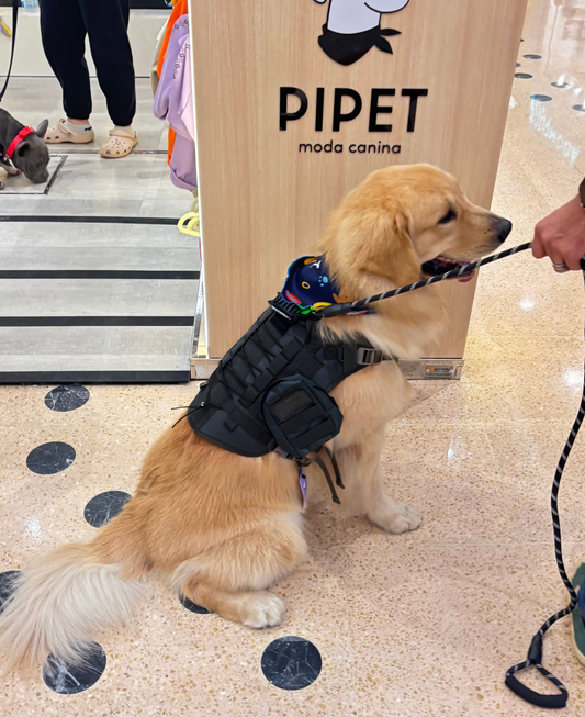 Peitoral Pet Grande - Preto