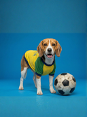 Camiseta Brasil Amarela