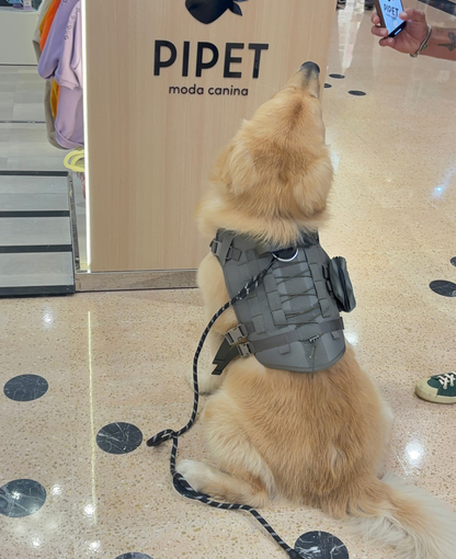 Peitoral Pet Grande - Cinza