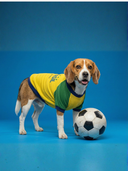 Camiseta Brasil Amarela