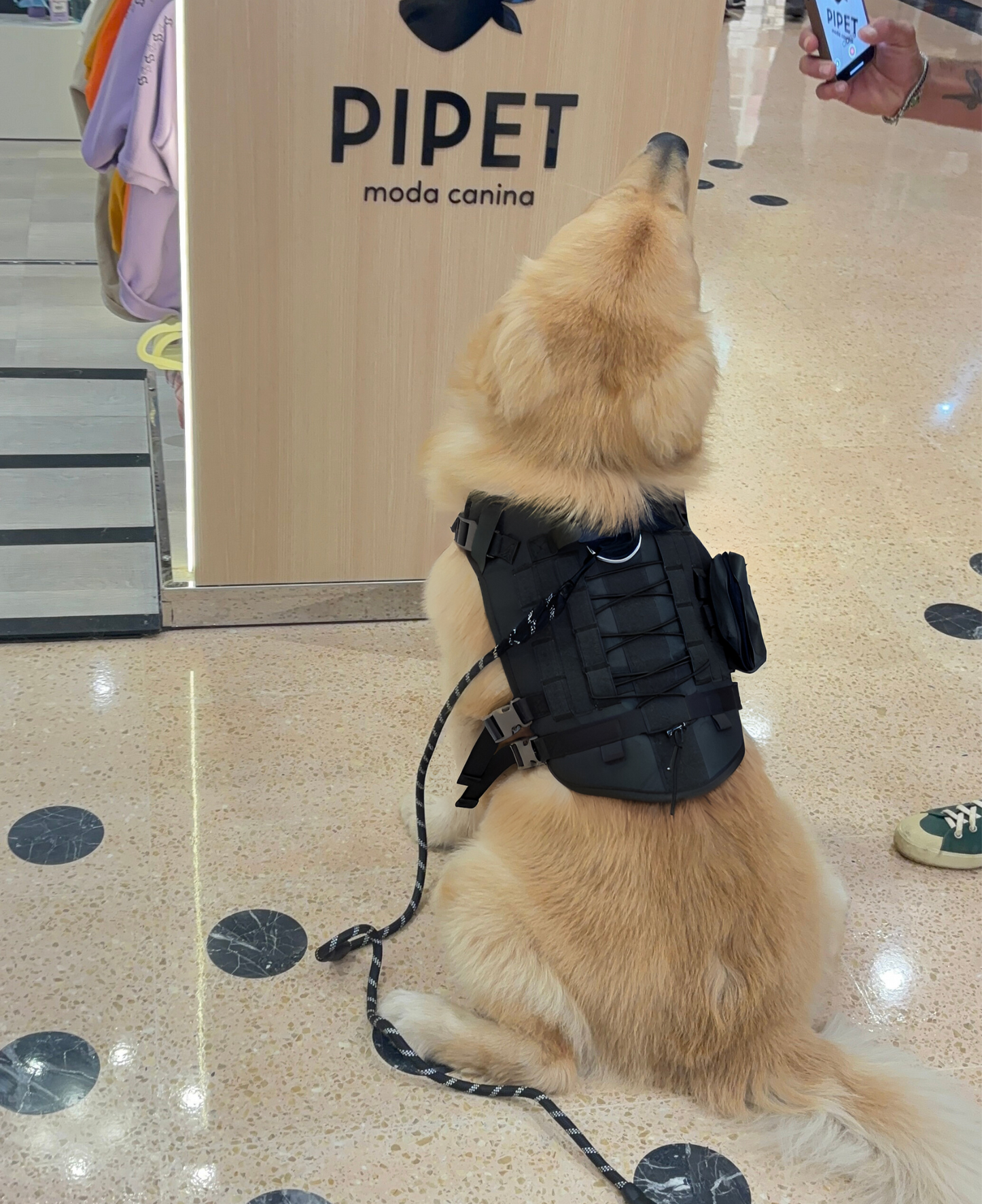 Peitoral Pet Grande - Preto