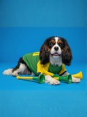 Camiseta Brasil Verde