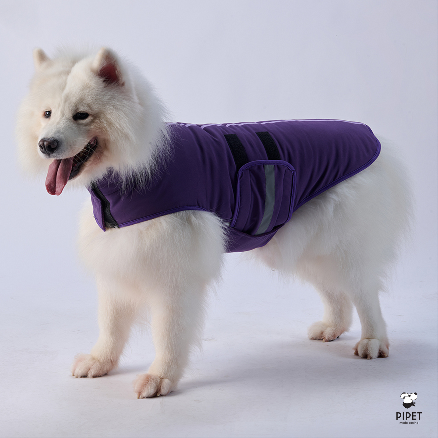 Colete Impermeável - Roxo