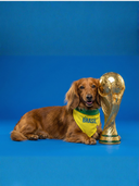 Bandana Brasil Amarela