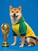 Moletom Copa Brasil