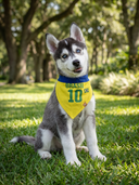 Bandana Camisa 10 Amarela