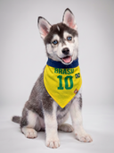 Bandana Camisa 10 Amarela