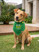 Bandana Verde Au Au Brasil