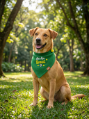 Bandana Verde Au Au Brasil