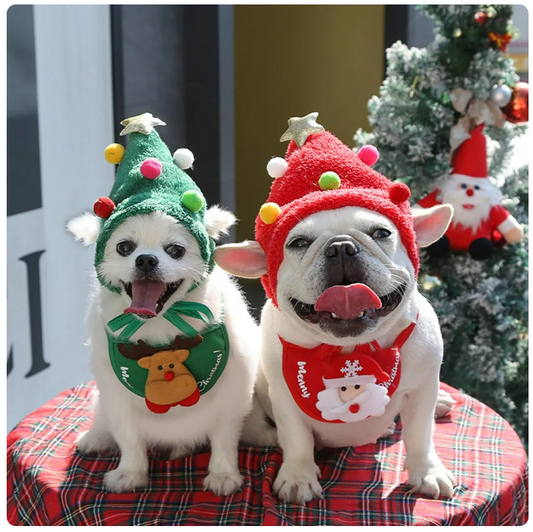 Gorro Especial de Natal
