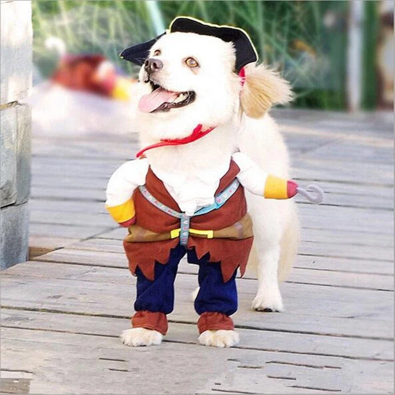 Fantasia Pirata