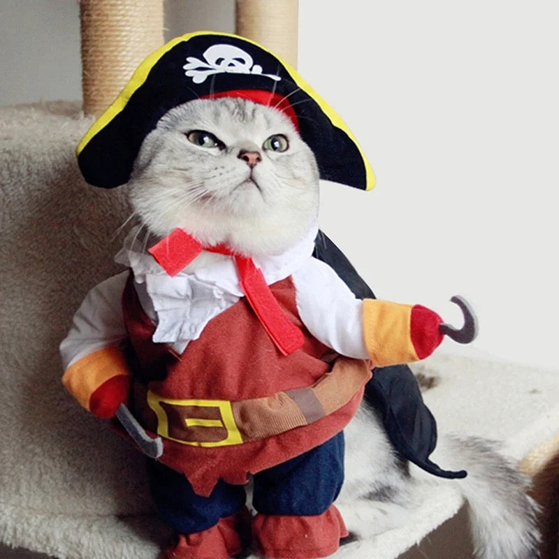Fantasia Pirata