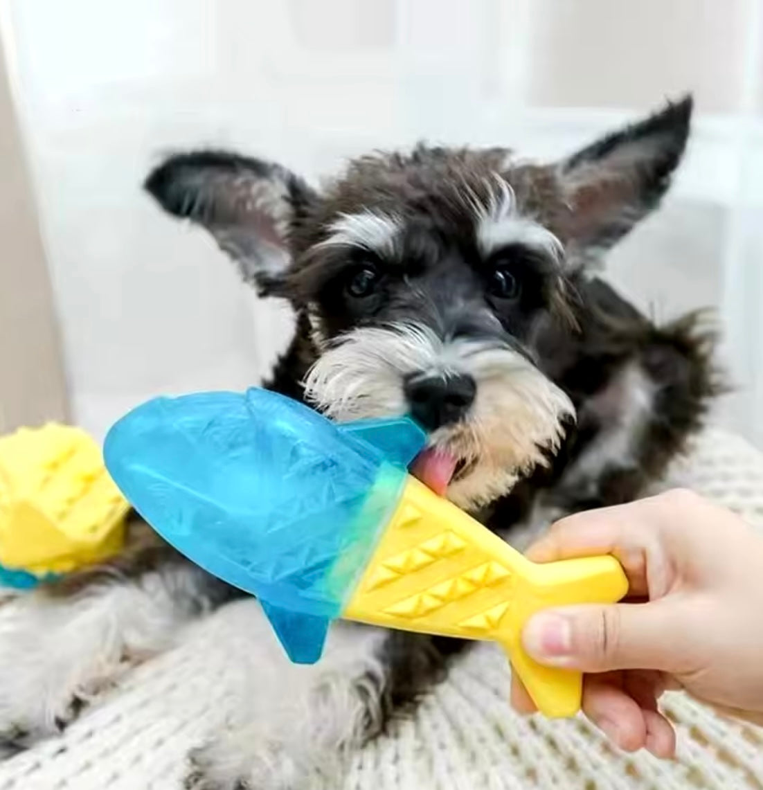 Brinquedo Gelado