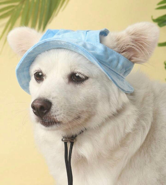 Bone Premium