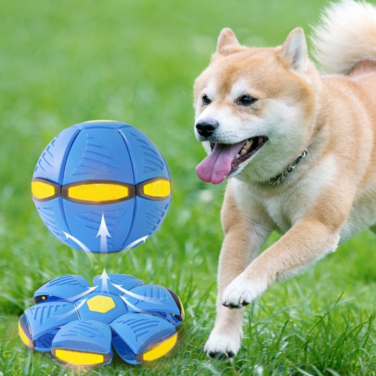 Super Bola