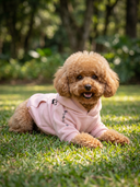 Moletom Pet - Rosa Bebê