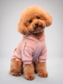 Moletom Pet - Rosa Bebê