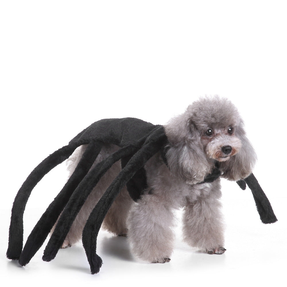 Fantasia Pet de Aranha