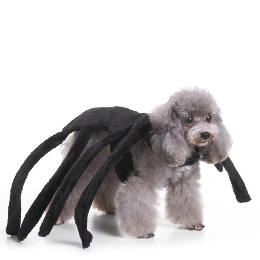 Fantasia Pet de Aranha