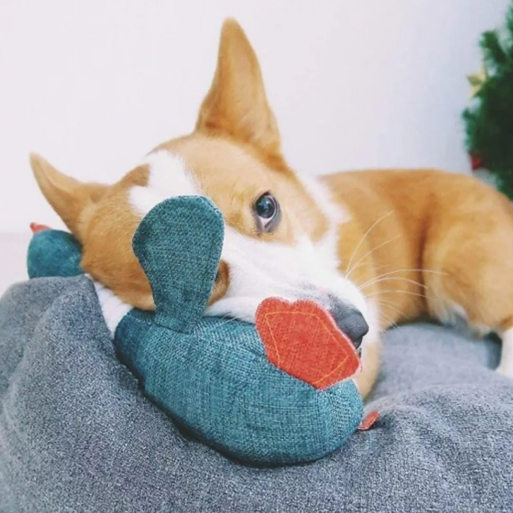 Brinquedo Pato Apito