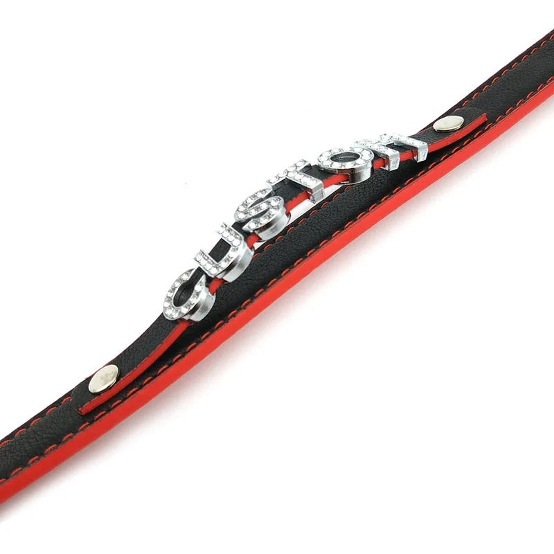 Coleira Personalizada Marrom c/ Bege