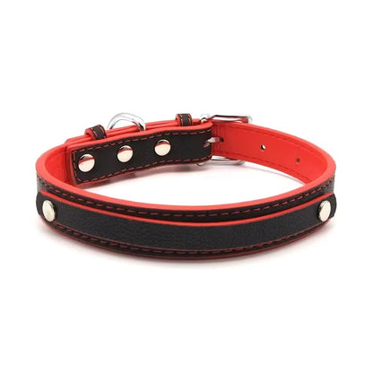Coleira Personalizada Marrom c/ Bege