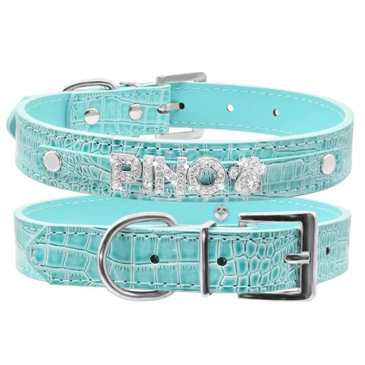 Coleira Personalizada Pipet - Turquesa