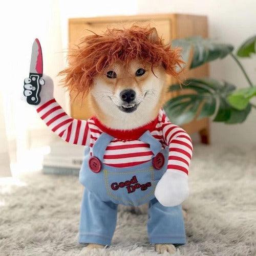 Fantasia Pet do Chucky