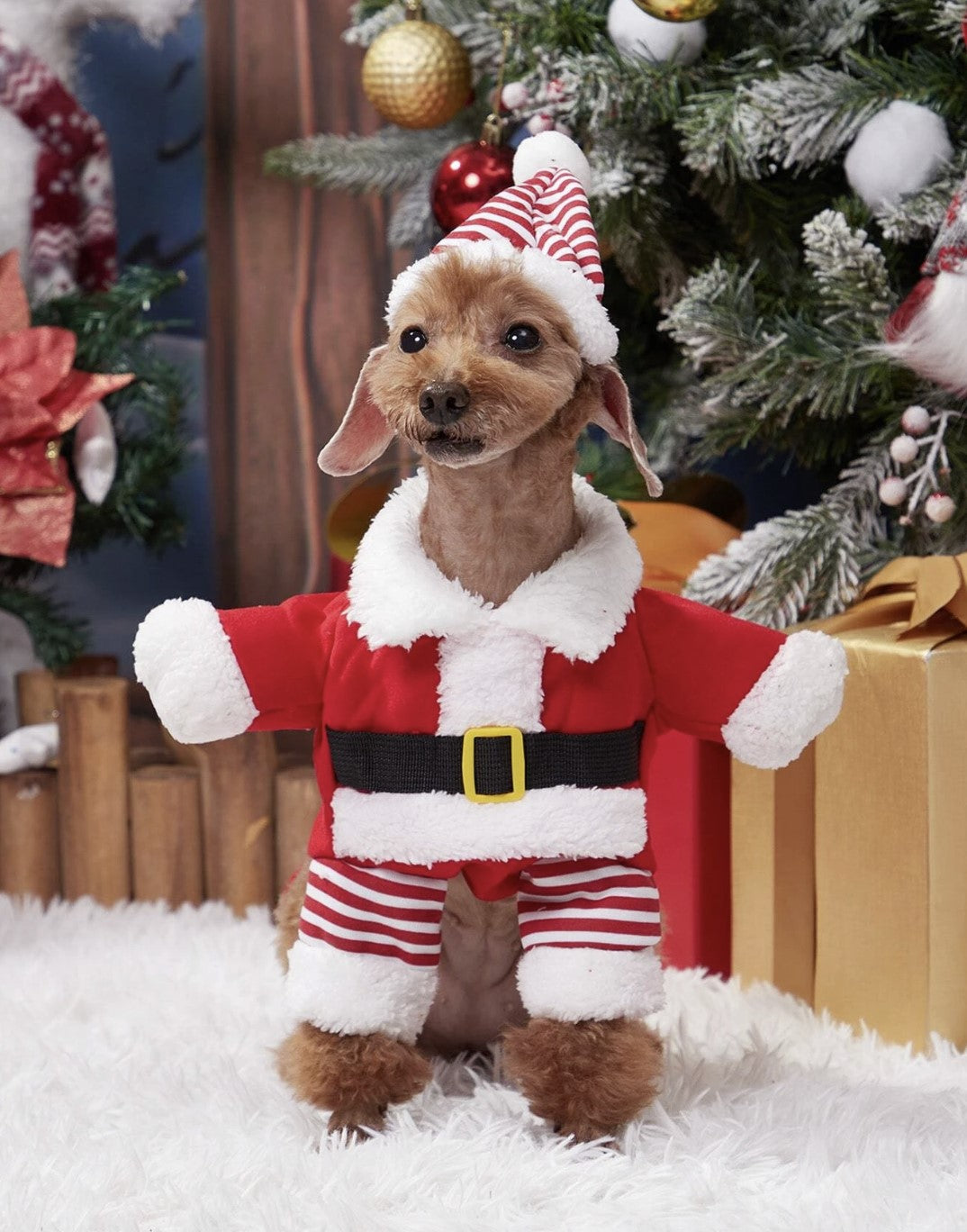 Fantasia Papai Noel
