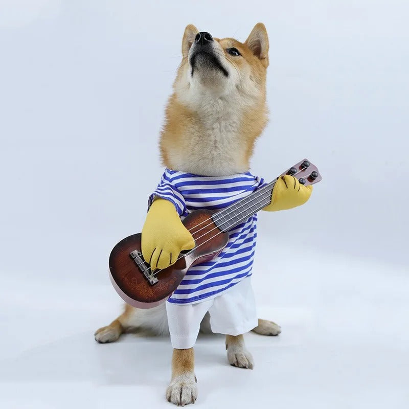 Fantasia Músico