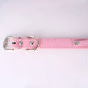 Coleira Personalizada Pipet - Rosa