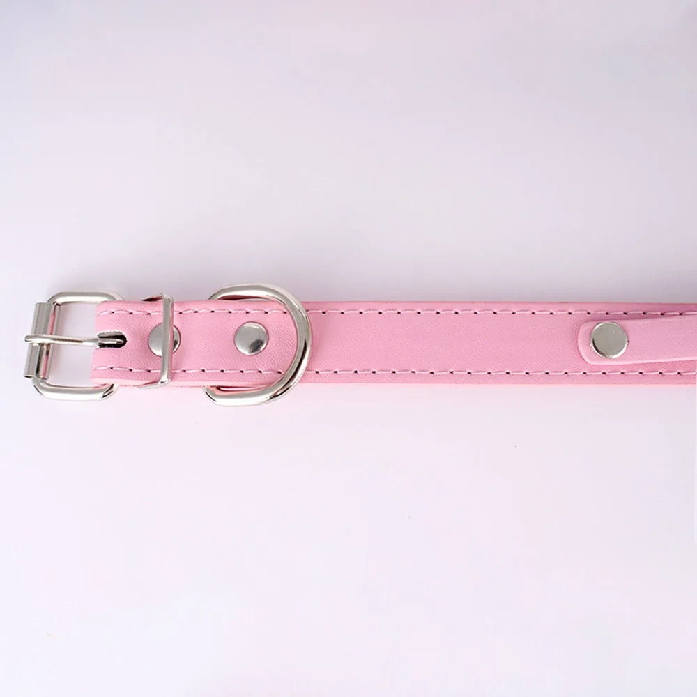 Coleira Personalizada Pipet - Rosa