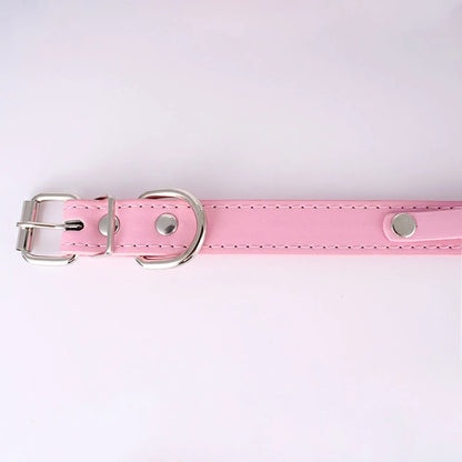 Coleira Personalizada Pipet - Rosa