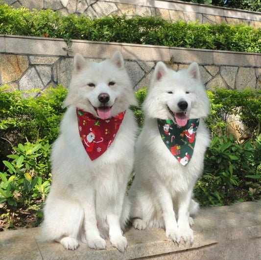 Bandana Natalina