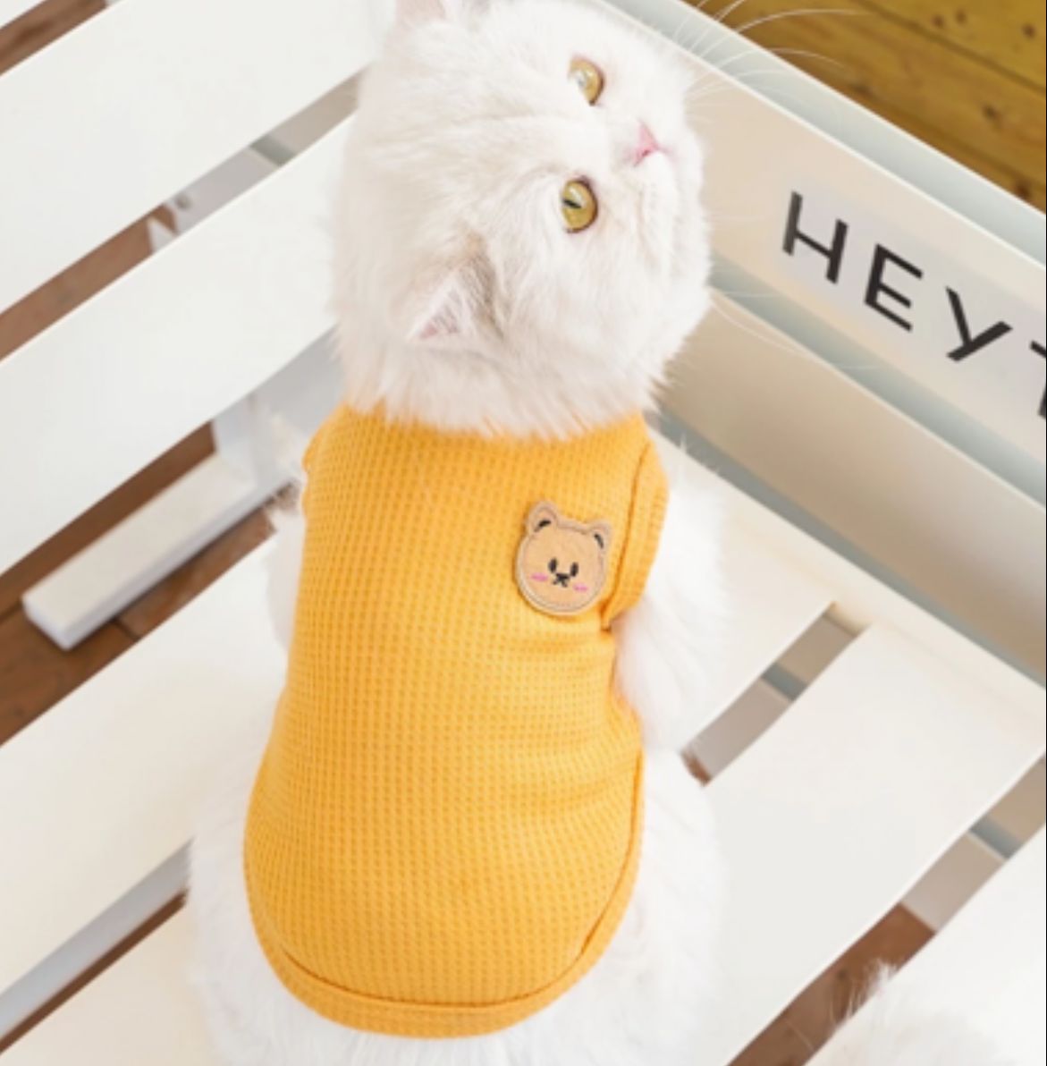 Camiseta Ursinho
