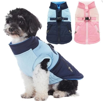 Colete Premium - Azul