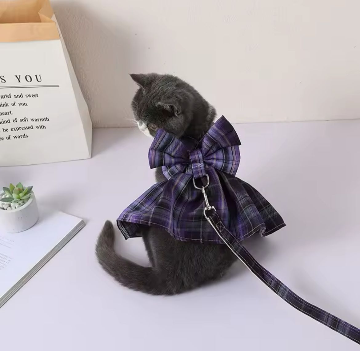 Peitoral Vestido